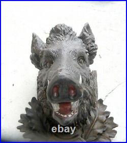 Rare Black Forest Carving Heavy Big Realistically Carved Head Of A Wild Boar