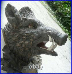 Rare Black Forest Carving Heavy Big Realistically Carved Head Of A Wild Boar