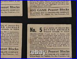 Rare COMPLETE SET 25 Cards 1933 Planters Nuts Big Game Hunted Animal Cards