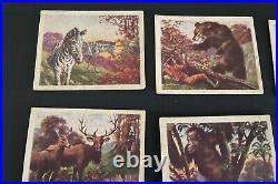 Rare COMPLETE SET 25 Cards 1933 Planters Nuts Big Game Hunted Animal Cards