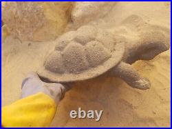 Rare Fossilized Big old Turtle 35 cm Freez Storm million years fossilized Turtle