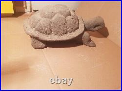 Rare Fossilized Big old Turtle 37 cm Freez Storm million years fossilized Turtle