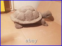 Rare Fossilized Big old Turtle 37 cm Freez Storm million years fossilized Turtle