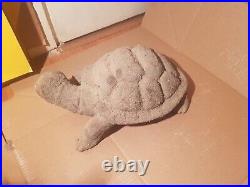 Rare Fossilized Big old Turtle 37 cm Freez Storm million years fossilized Turtle