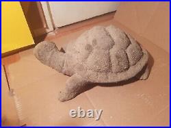 Rare Fossilized Big old Turtle 37 cm Freez Storm million years fossilized Turtle