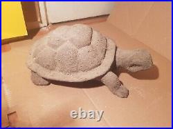 Rare Fossilized Big old Turtle 37 cm Freez Storm million years fossilized Turtle