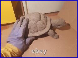 Rare Fossilized Big old Turtle 37 cm Freez Storm million years fossilized Turtle