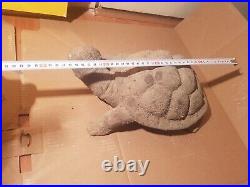 Rare Fossilized Big old Turtle 37 cm Freez Storm million years fossilized Turtle