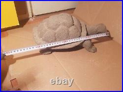 Rare Fossilized Big old Turtle 37 cm Freez Storm million years fossilized Turtle