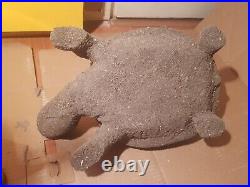 Rare Fossilized Big old Turtle 37 cm Freez Storm million years fossilized Turtle