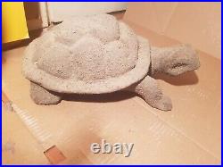 Rare Fossilized Big old Turtle 37 cm Freez Storm million years fossilized Turtle