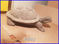 Rare Fossilized Big old Turtle 37 cm Freez Storm million years fossilized Turtle