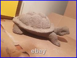 Rare Fossilized Big old Turtle 37 cm Freez Storm million years fossilized Turtle