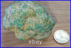 Rare Hard 192 gram Pilot Mtn. NV Big Turquoise Pseudomorph Clam Specimen Fossil