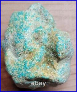 Rare Hard 192 gram Pilot Mtn. NV Big Turquoise Pseudomorph Clam Specimen Fossil