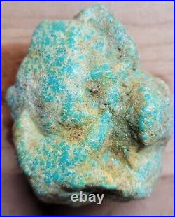 Rare Hard 192 gram Pilot Mtn. NV Big Turquoise Pseudomorph Clam Specimen Fossil