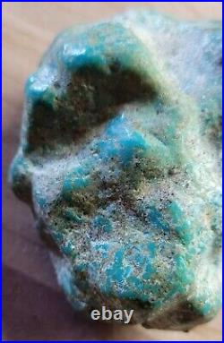 Rare Hard 192 gram Pilot Mtn. NV Big Turquoise Pseudomorph Clam Specimen Fossil