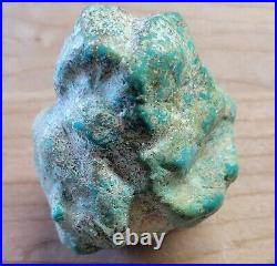 Rare Hard 192 gram Pilot Mtn. NV Big Turquoise Pseudomorph Clam Specimen Fossil