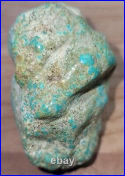 Rare Hard 192 gram Pilot Mtn. NV Big Turquoise Pseudomorph Clam Specimen Fossil