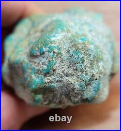 Rare Hard 192 gram Pilot Mtn. NV Big Turquoise Pseudomorph Clam Specimen Fossil