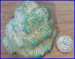 Rare Hard 192 gram Pilot Mtn. NV Big Turquoise Pseudomorph Clam Specimen Fossil