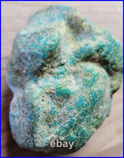 Rare Hard 192 gram Pilot Mtn. NV Big Turquoise Pseudomorph Clam Specimen Fossil