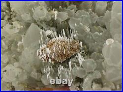 Rare Museum Big Quartz with Chlorite and Calcite, Crystals, Minerals, natural C