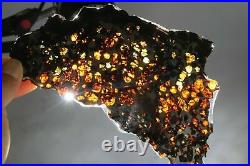 Rare & beautiful big slice of Kenyan Pallasite olivine meteorite with iron 99gr