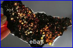 Rare & beautiful big slice of Kenyan Pallasite olivine meteorite with iron 99gr