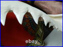 (SJ130-15) Big RARE 28-1/4 GREAT WHITE SHARK JAW jaws Teeth Tooth Carcharias