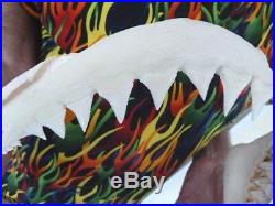 (SJ130-6) Big RARE 16-3/8 GREAT WHITE SHARK JAW jaws Teeth Tooth Carcharias