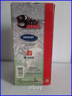 Tom Brady NE Patriots Big Heads Bobblehead Rare