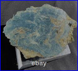 Vonsen Blue Jade Rare Fine Extra Thick Big Slab- 324 Grams 11.5 Oz's Petaluma CA